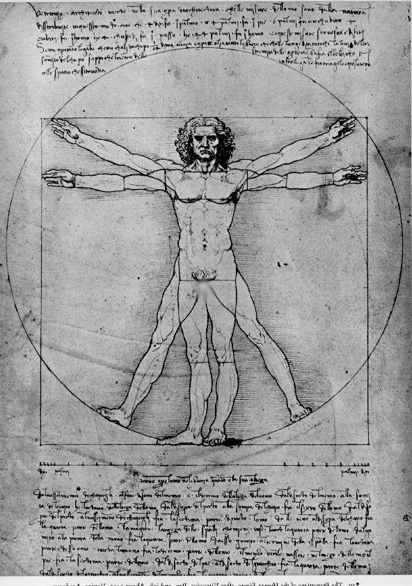 vitruvian man