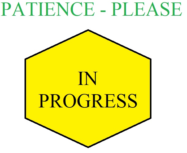 PATIENCE PLEASE - IN PROGRESS